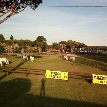 Mare Pineta Appartement Lido di Volano Buitenkant foto
